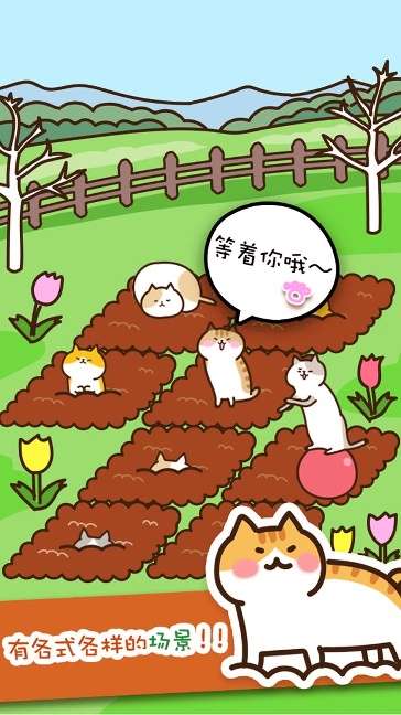猫咪田园中文版